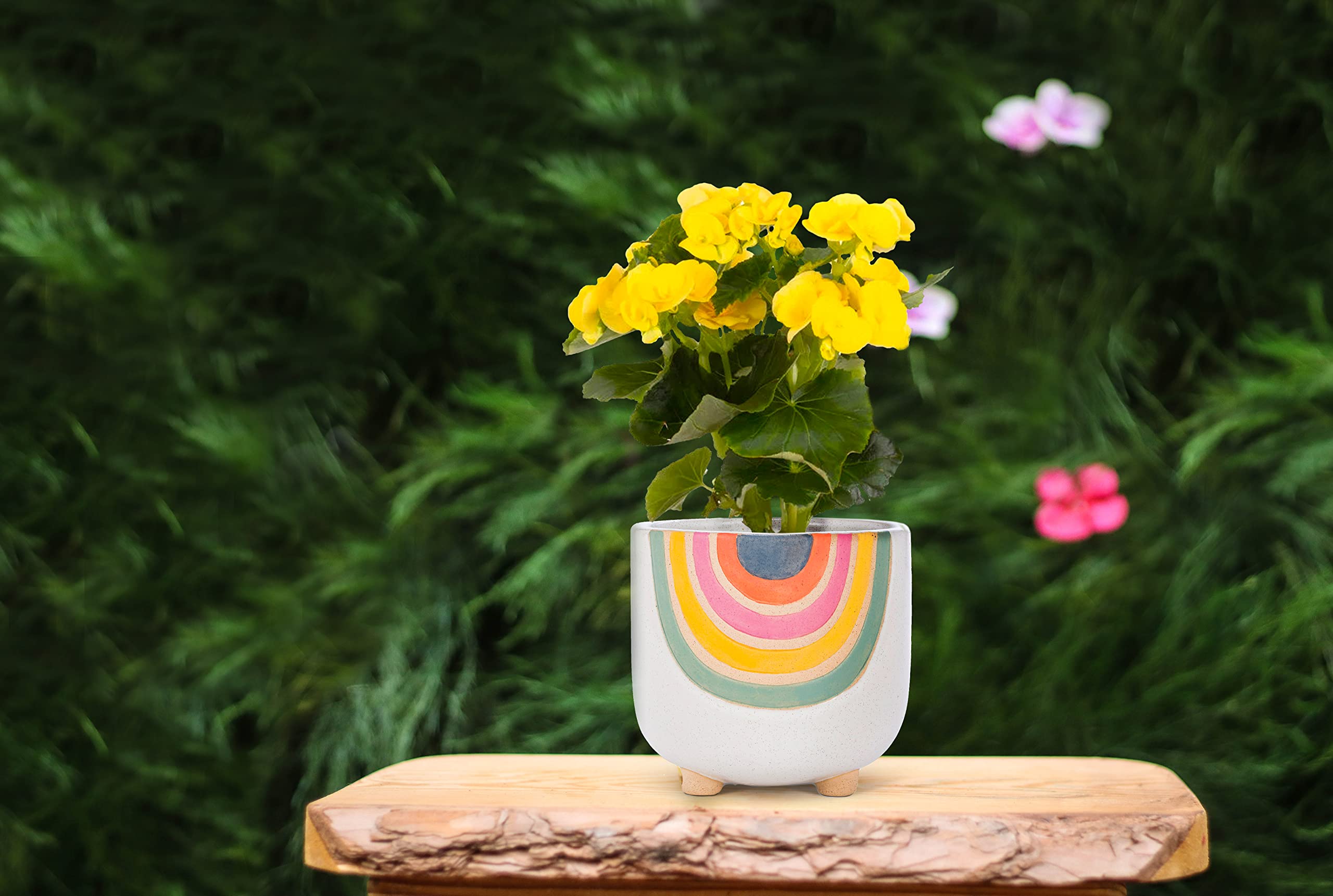 Abbott Collection 27-VIBE-735-LG Large Rainbow Planter with Legs, 5.5" - Image 5