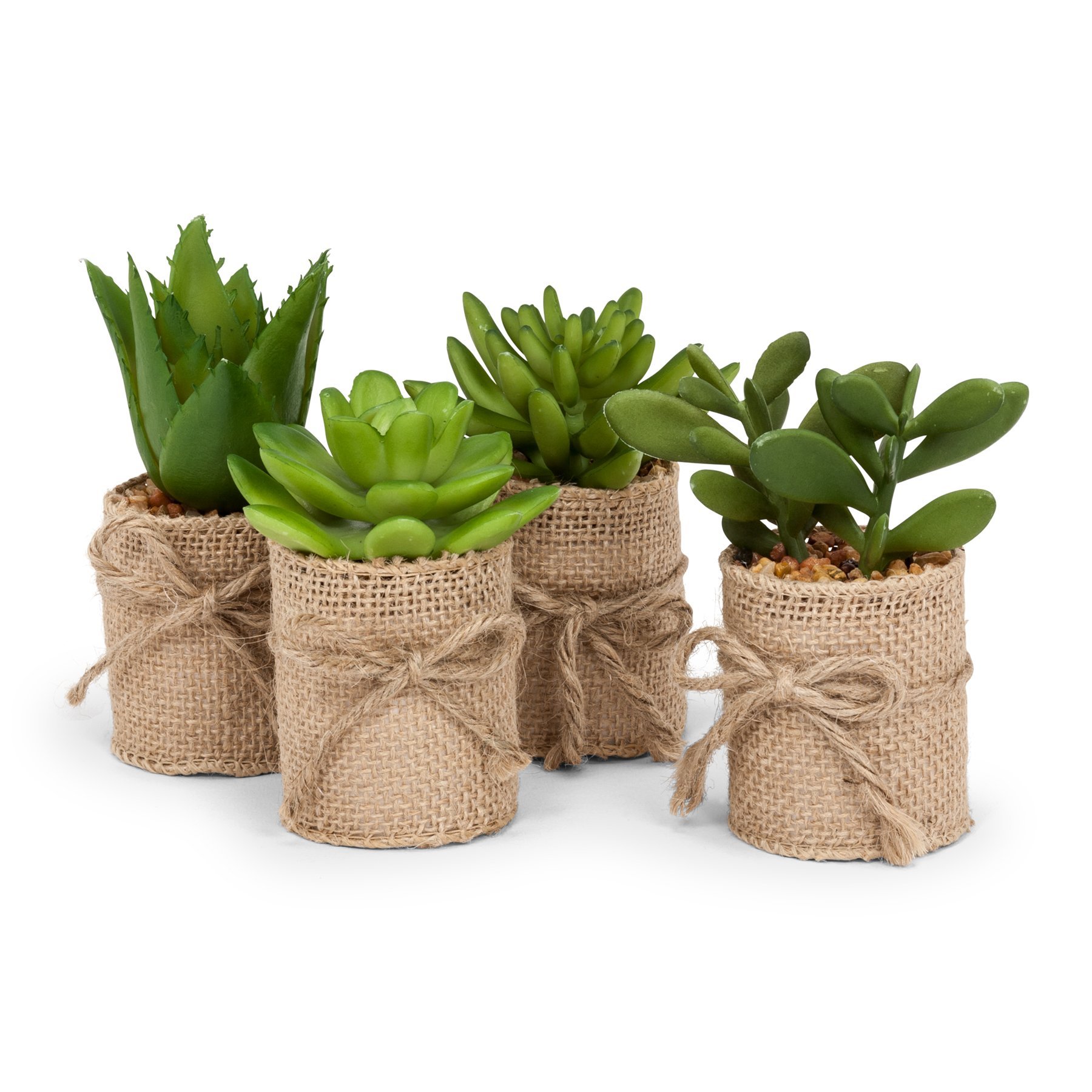 Faux Flowers & Plants